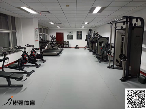 济南某集团采购的AG庄闲提供的健身器材